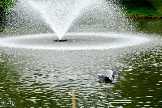 $1,200 | 7 Edison Avenue, Unit 2ND FL REAR, Albany, NY 12208