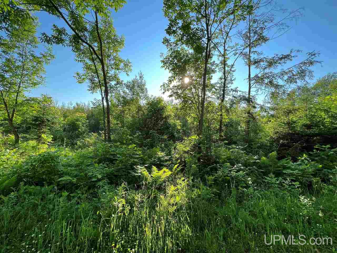 Tbd Nordstrom Road Iron River, MI 49935 - Photo 1 of 3