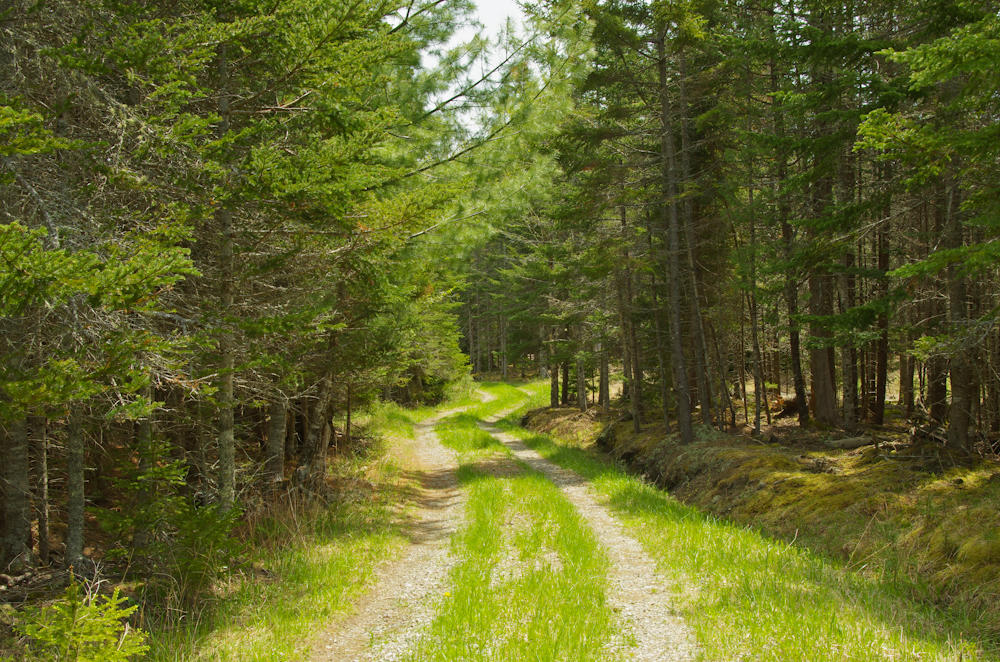 1169 Main Road Islesboro, ME 04848 - Photo 41 of 49 Hanson48