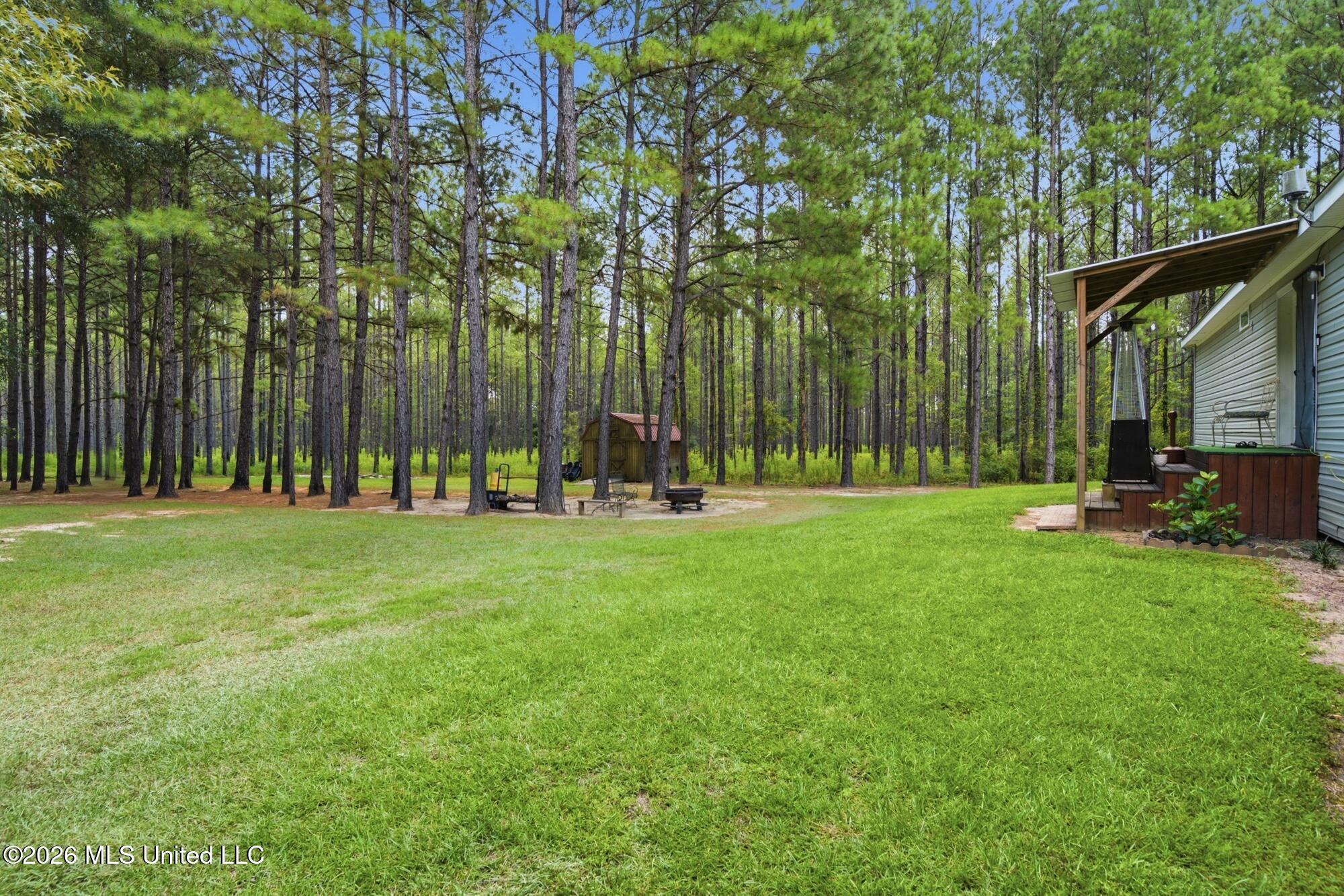 368 Otho Davis Road Lumberton, MS 39455 - Photo 22 of 40 24_dsc09735