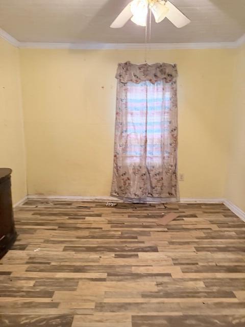 214 Youngblood Road Edgefield, SC 29824 - Photo 7 of 7