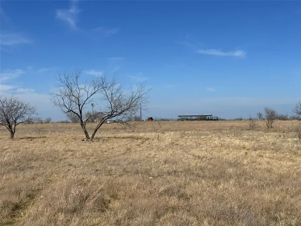 a view of a dry yard