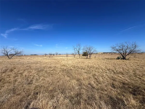 a view of a field with an ocean