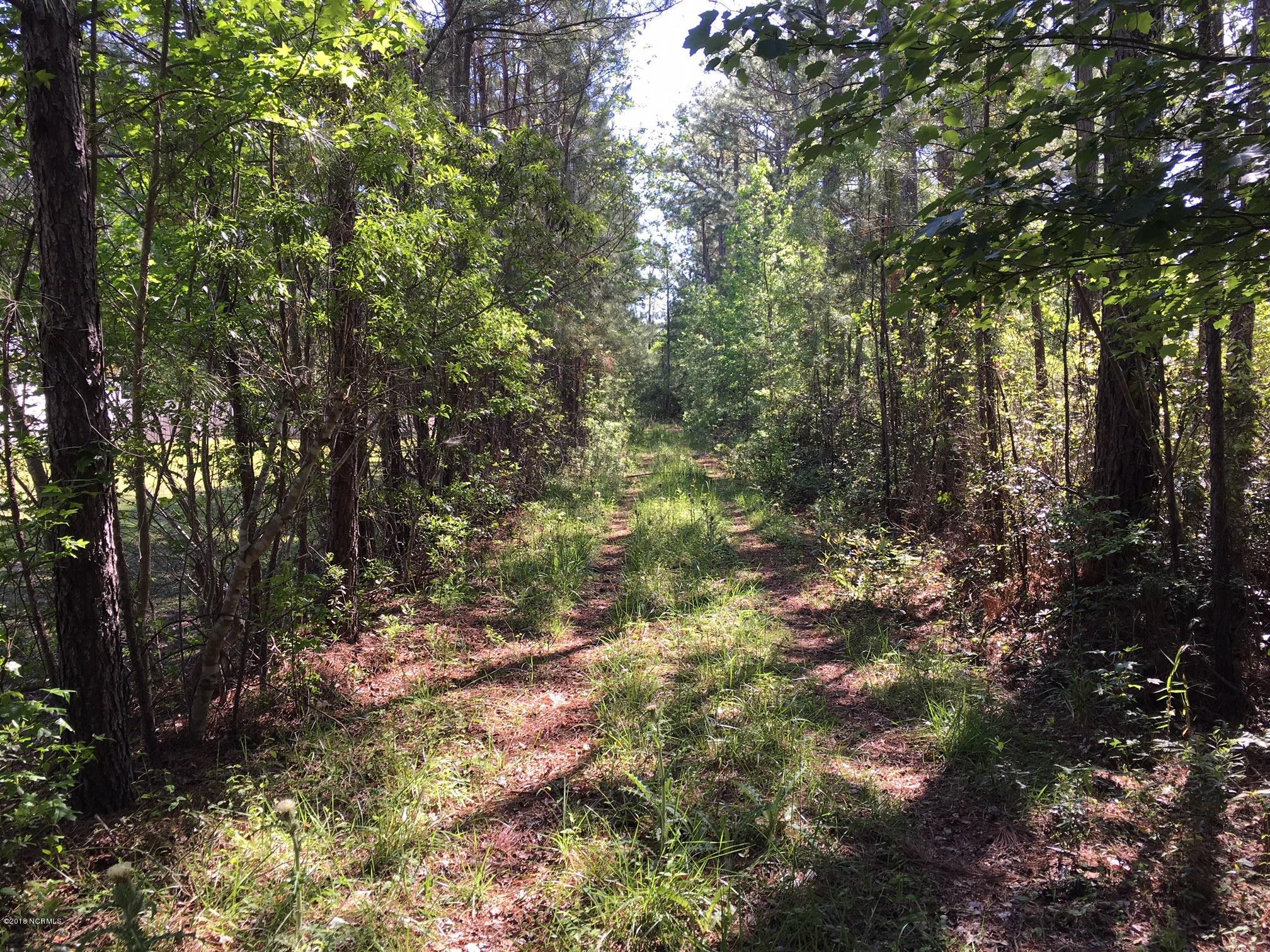 158 Lee Rogers Road Hubert, NC 28539 - Photo 1 of 19 Baxter Land