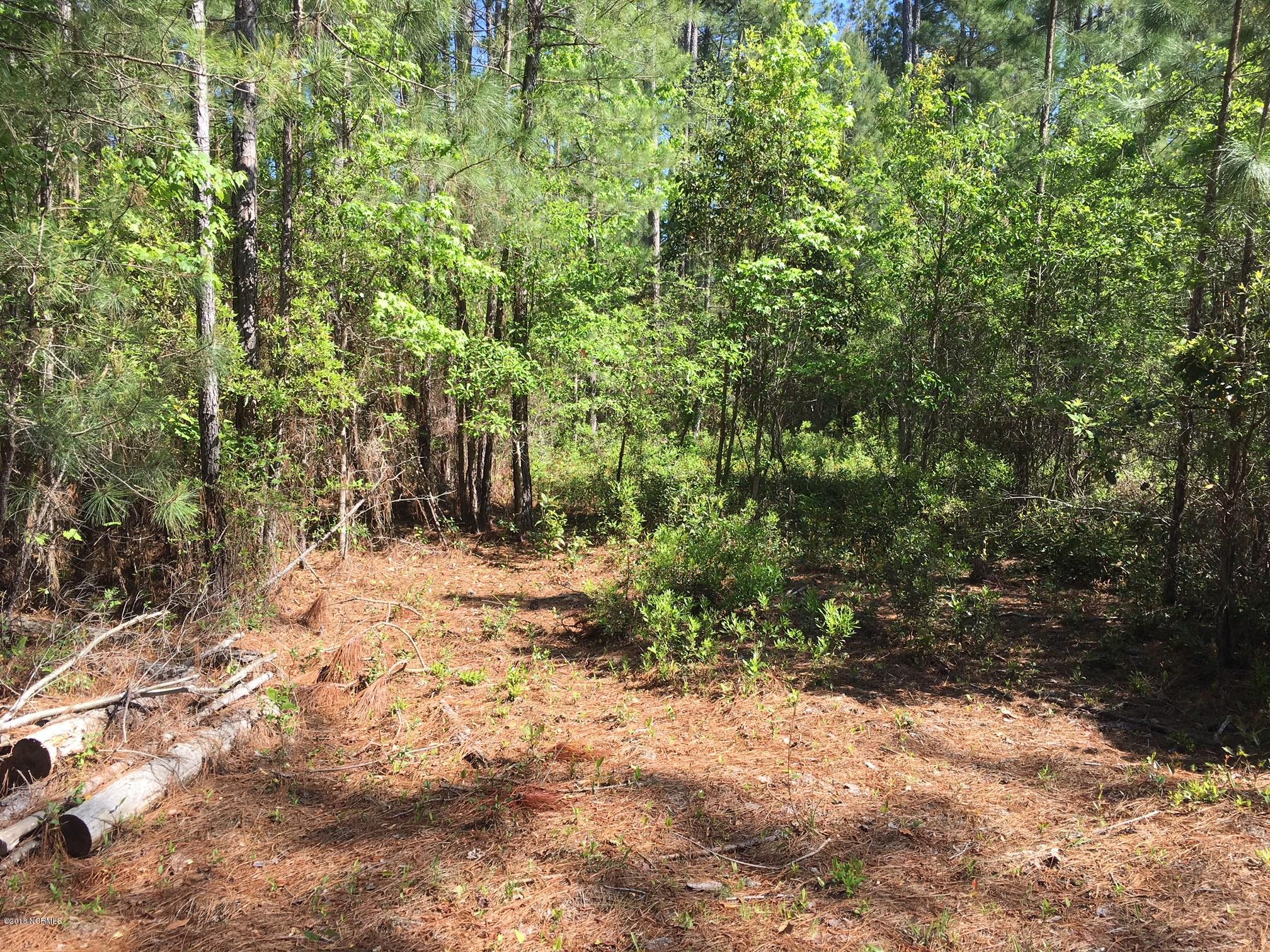 158 Lee Rogers Road Hubert, NC 28539 - Photo 2 of 19 Baxter Image 2