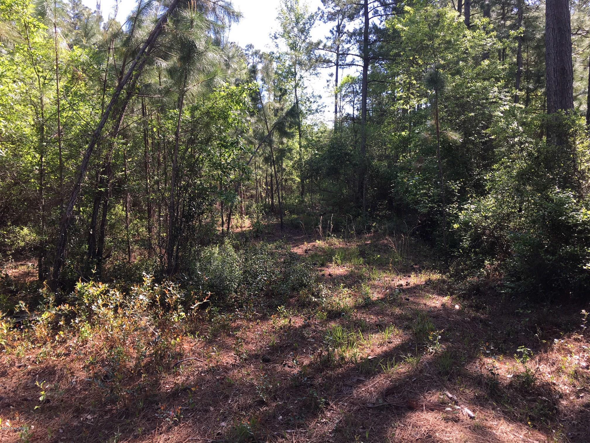 158 Lee Rogers Road Hubert, NC 28539 - Photo 3 of 19 Baxter image 3