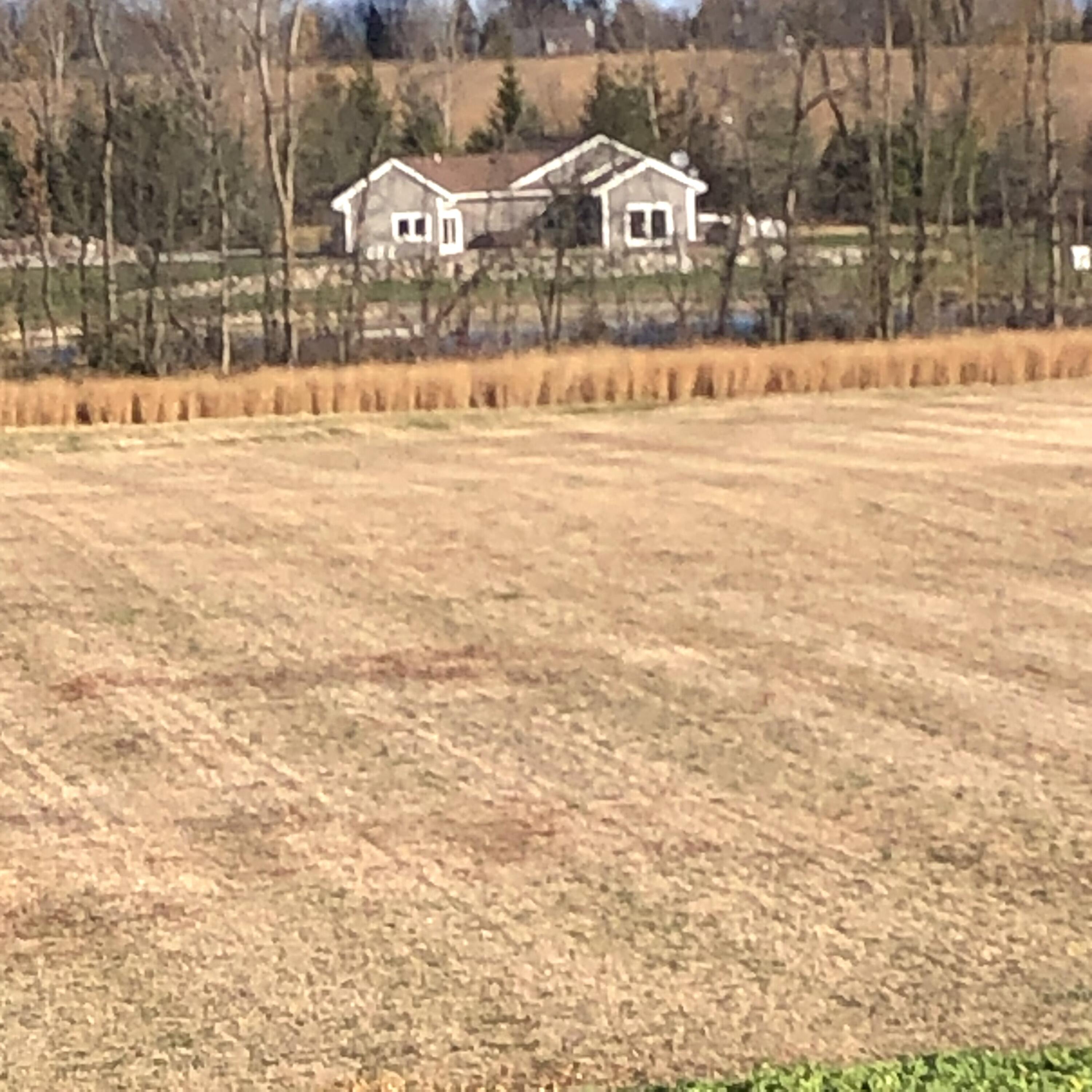 W985 Fur Farm Road New Holstein, WI 53061 - Photo 11 of 37 69004532474__C4ACB740-3594-4A2D-9E1E-890