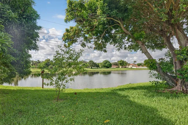 a view of a lake in a garden