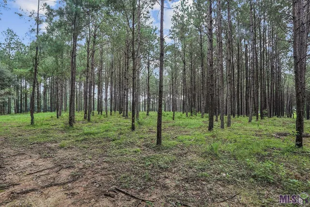 $1,150,000 | 5585 Highway 966, St. Francisville, LA 70775