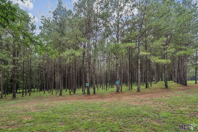 $1,150,000 | 5585 Highway 966, St. Francisville, LA 70775