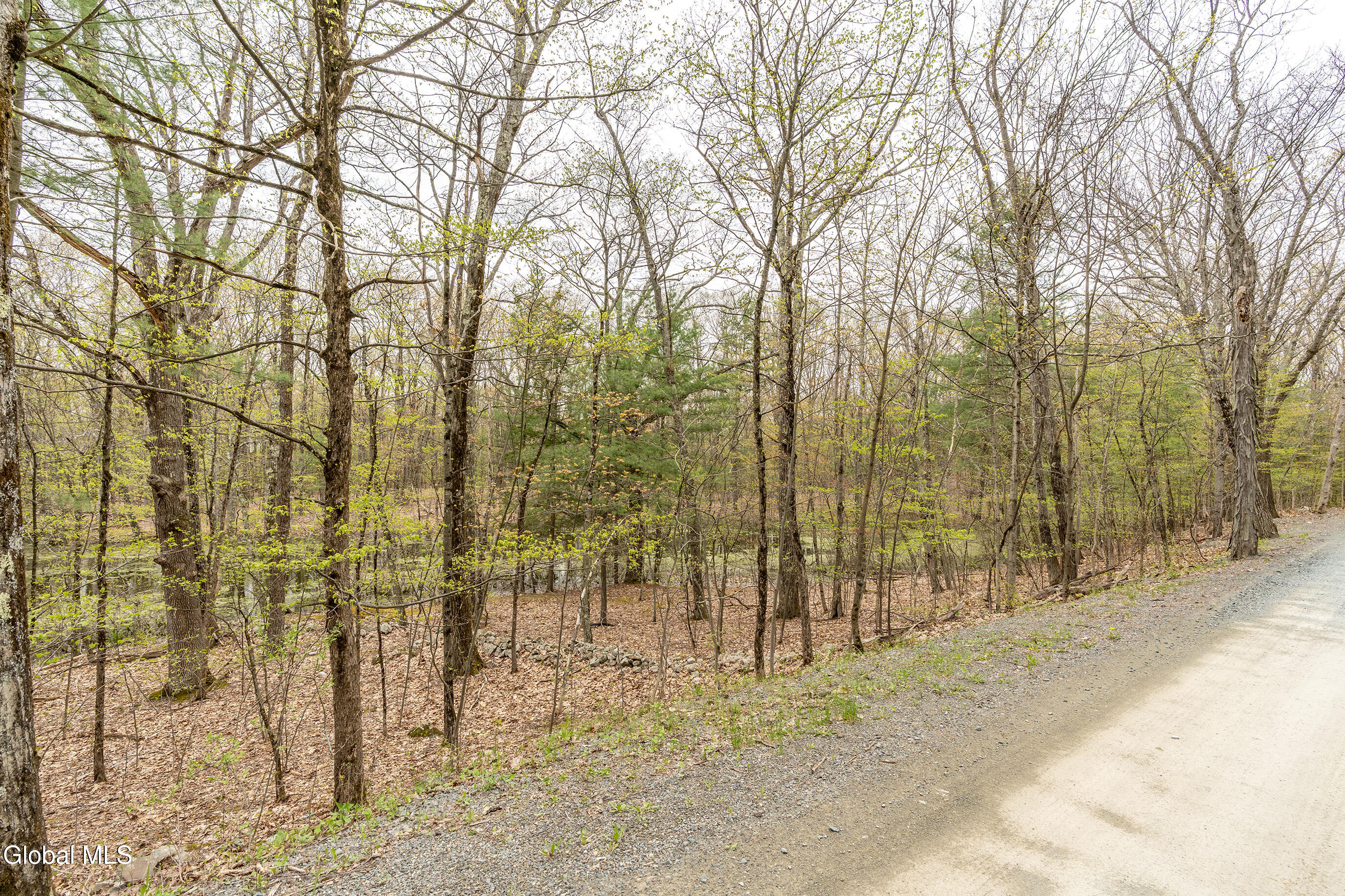 83 Maschodack Road Nassau, NY 12123 - Photo 6 of 26 001-Mashodack-Rd-Nassau-NY-12123