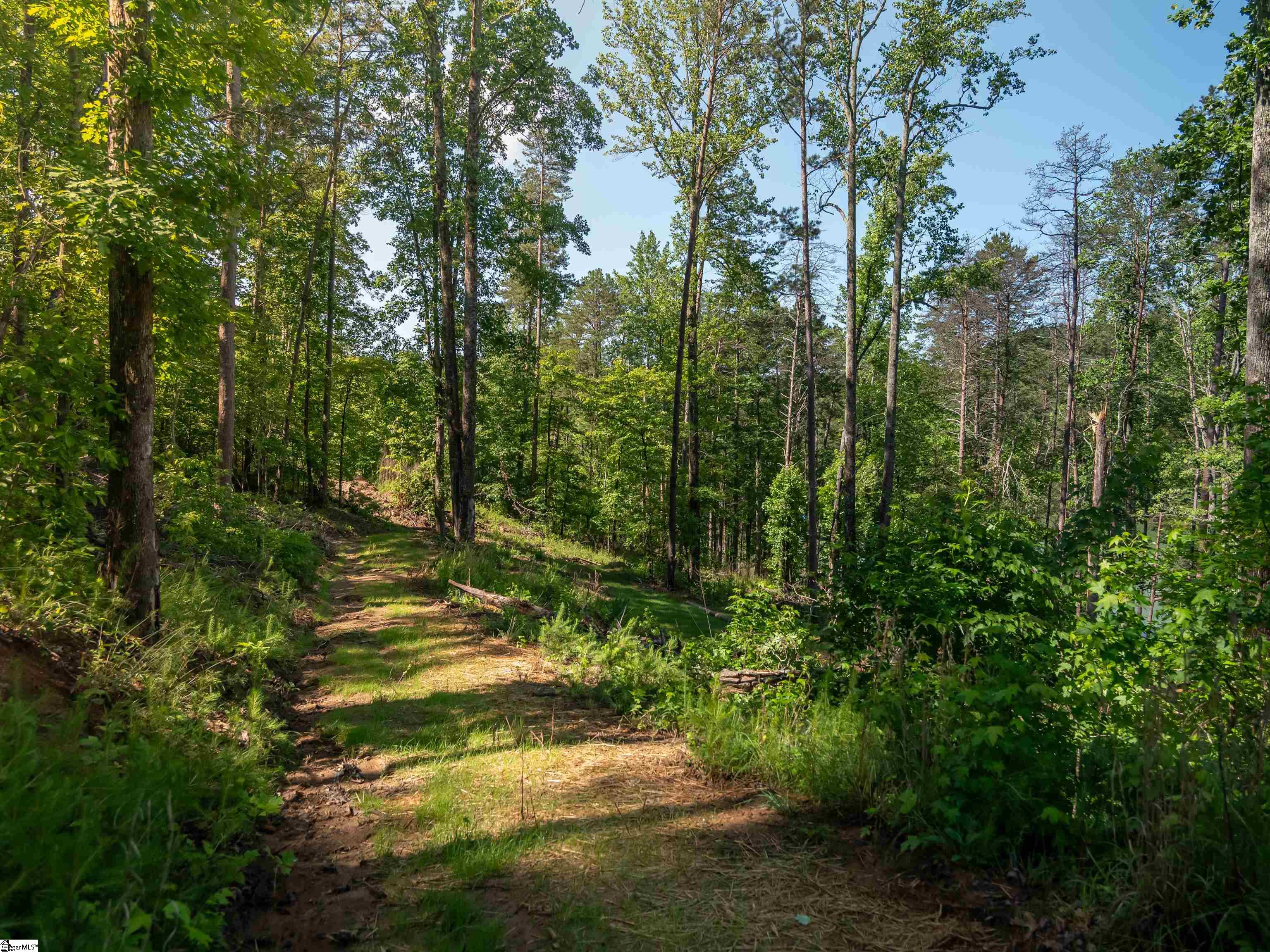 0 Old Keowee Church Road Six Mile, SC 29682 - Photo 24 of 37 Gallery Image 24