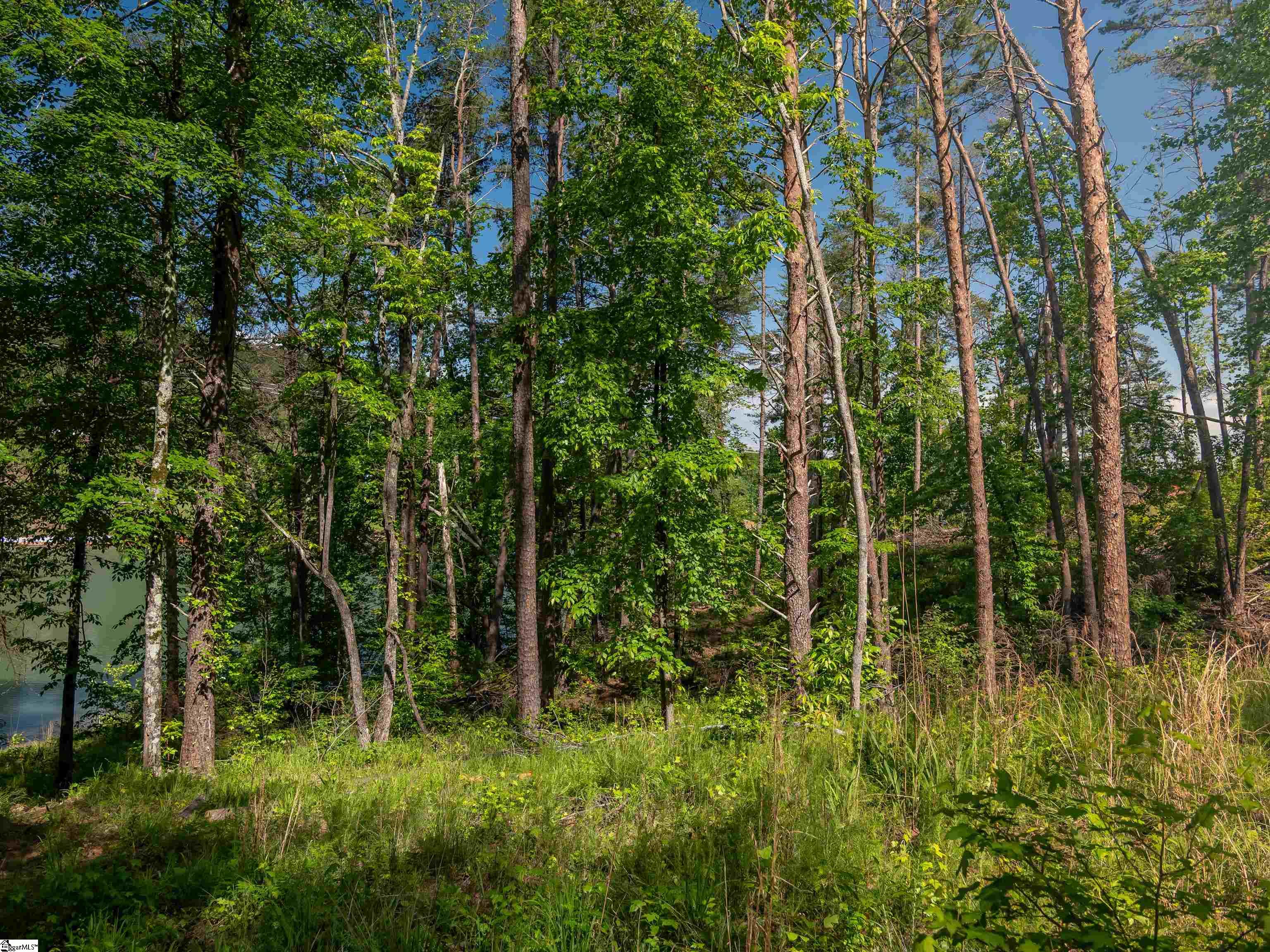 0 Old Keowee Church Road Six Mile, SC 29682 - Photo 26 of 37 Gallery Image 26