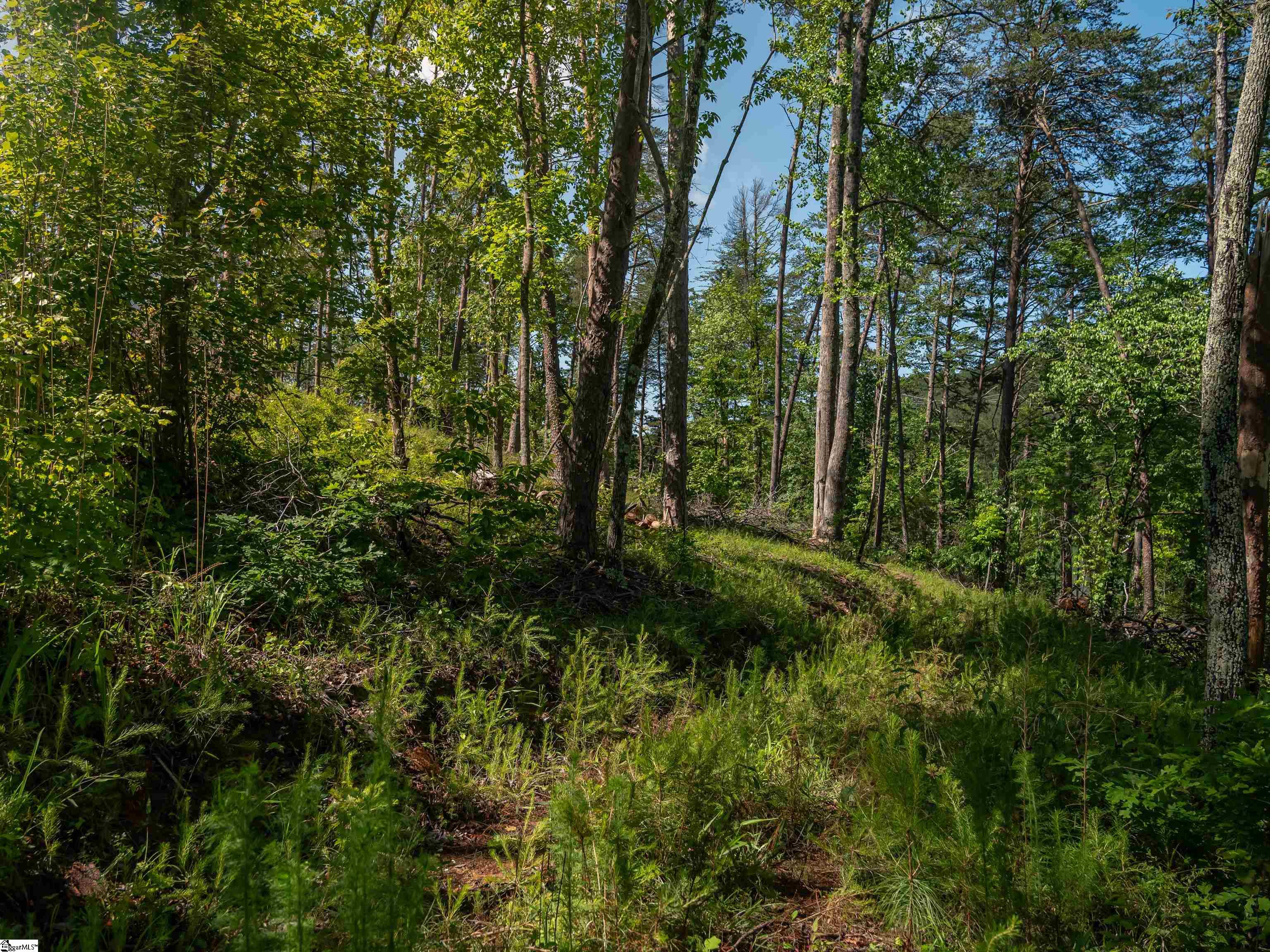 0 Old Keowee Church Road Six Mile, SC 29682 - Photo 36 of 37 Gallery Image 36