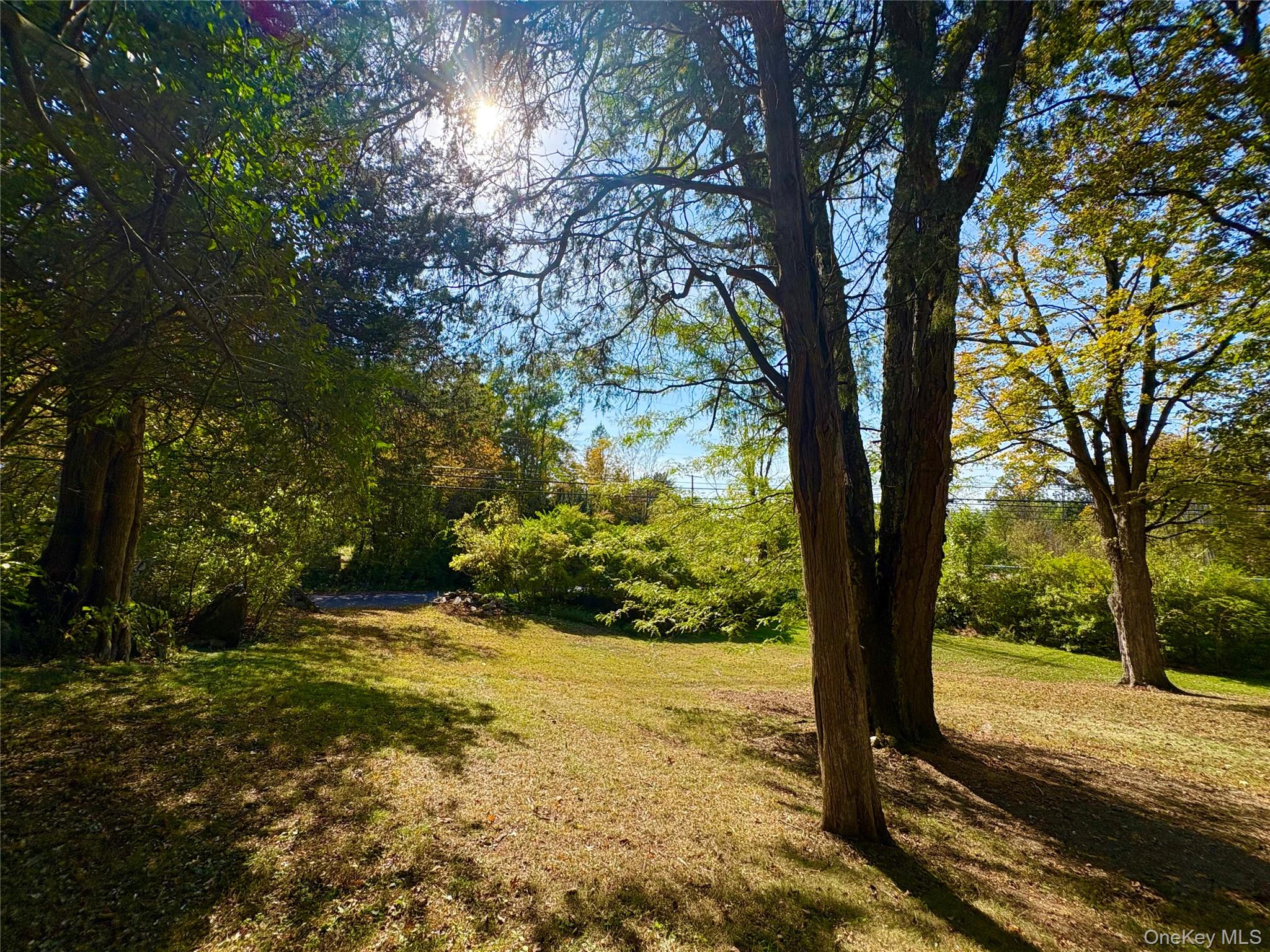 2 Haggerty Hill Road Rhinebeck, NY 12572 - Photo 35 of 47 View of grassy yard featuring a forest view