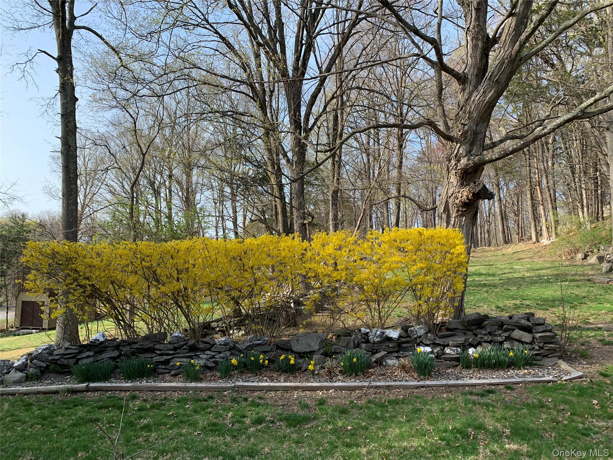 2 Haggerty Hill Road Rhinebeck, NY 12572 - Photo 36 of 47 View of grassy yard with a garden pond