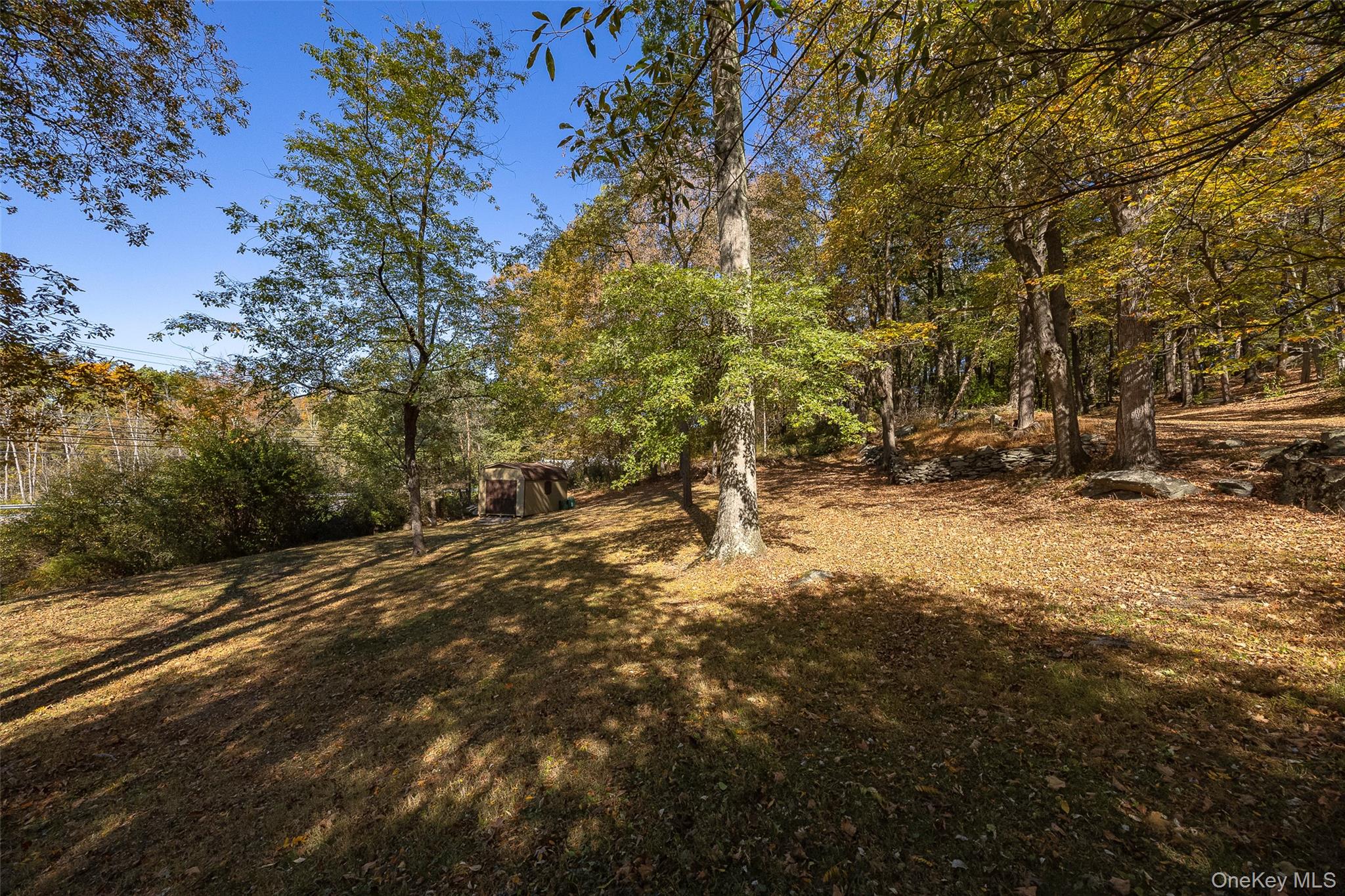 2 Haggerty Hill Road Rhinebeck, NY 12572 - Photo 41 of 47 View of grassy yard