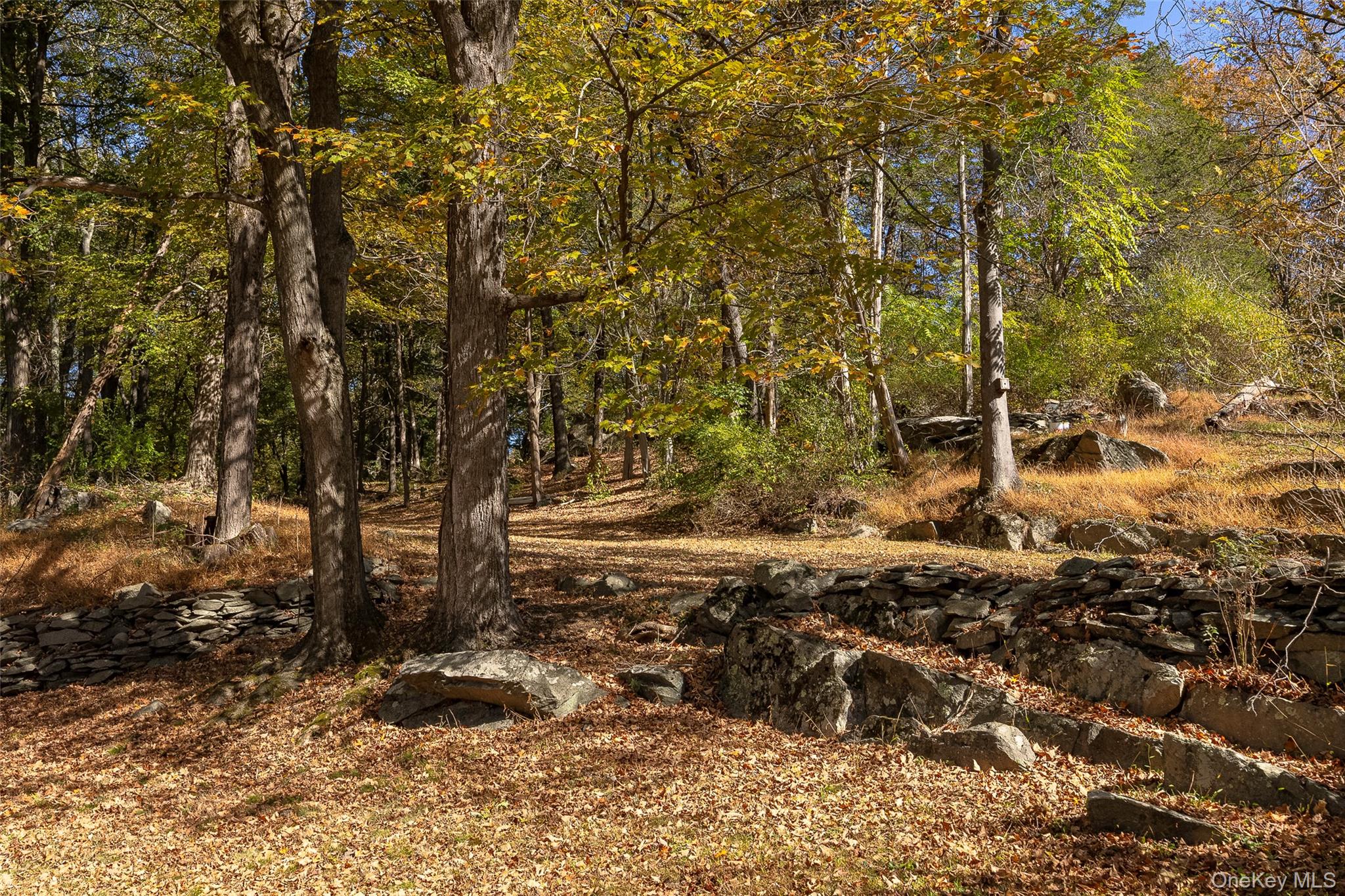 2 Haggerty Hill Road Rhinebeck, NY 12572 - Photo 42 of 47 View of local wilderness