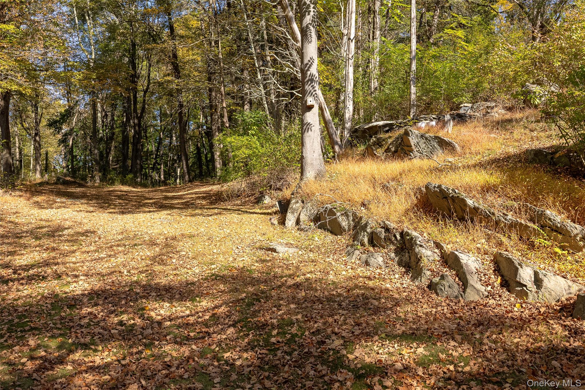 2 Haggerty Hill Road Rhinebeck, NY 12572 - Photo 44 of 47 View of woods