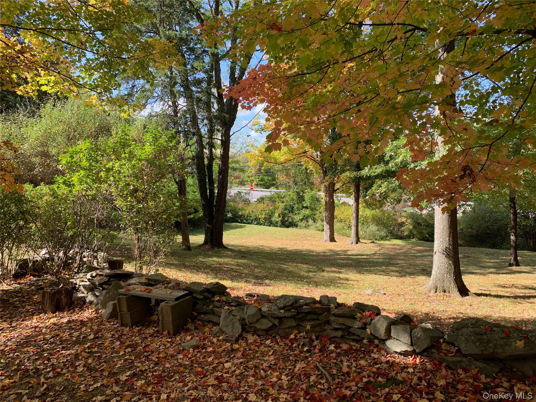 2 Haggerty Hill Road Rhinebeck, NY 12572 - Photo 45 of 47 View of grassy yard