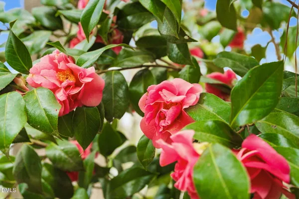 $349,000 | 7004 Ferrell Woods Lane, Raleigh, NC 27603