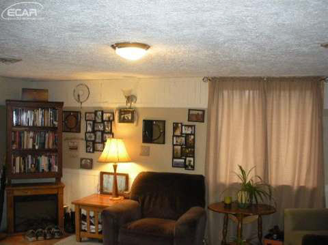 2751 West Brewer Road Owosso, MI 48867 - Photo 4 of 9 20425331-3.JPG