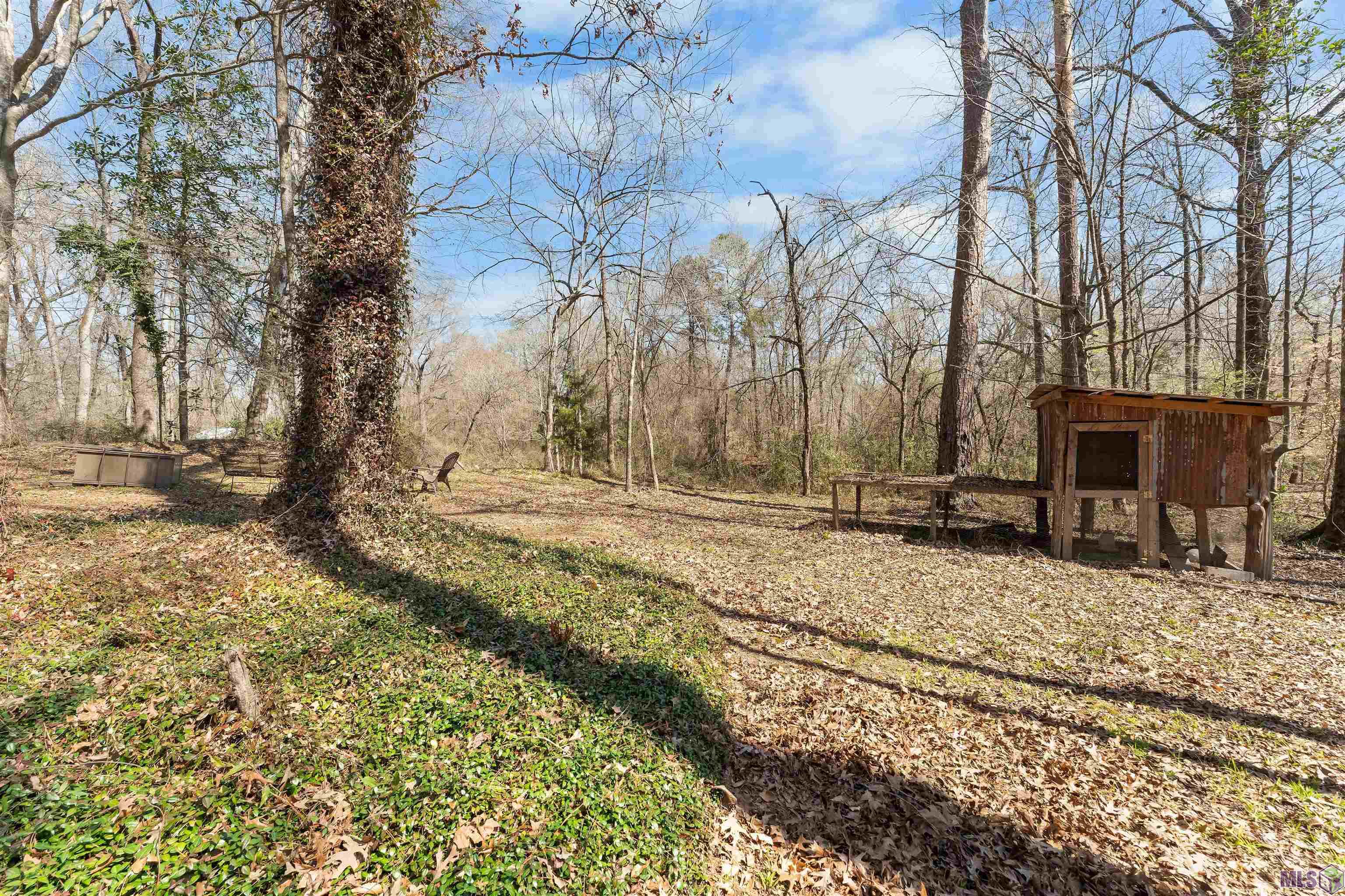 10894 Bains Road St. Francisville, LA 70775 - Photo 33 of 42