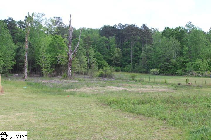 155 Lesley Road Pelzer, SC 29669 - Photo 2 of 7