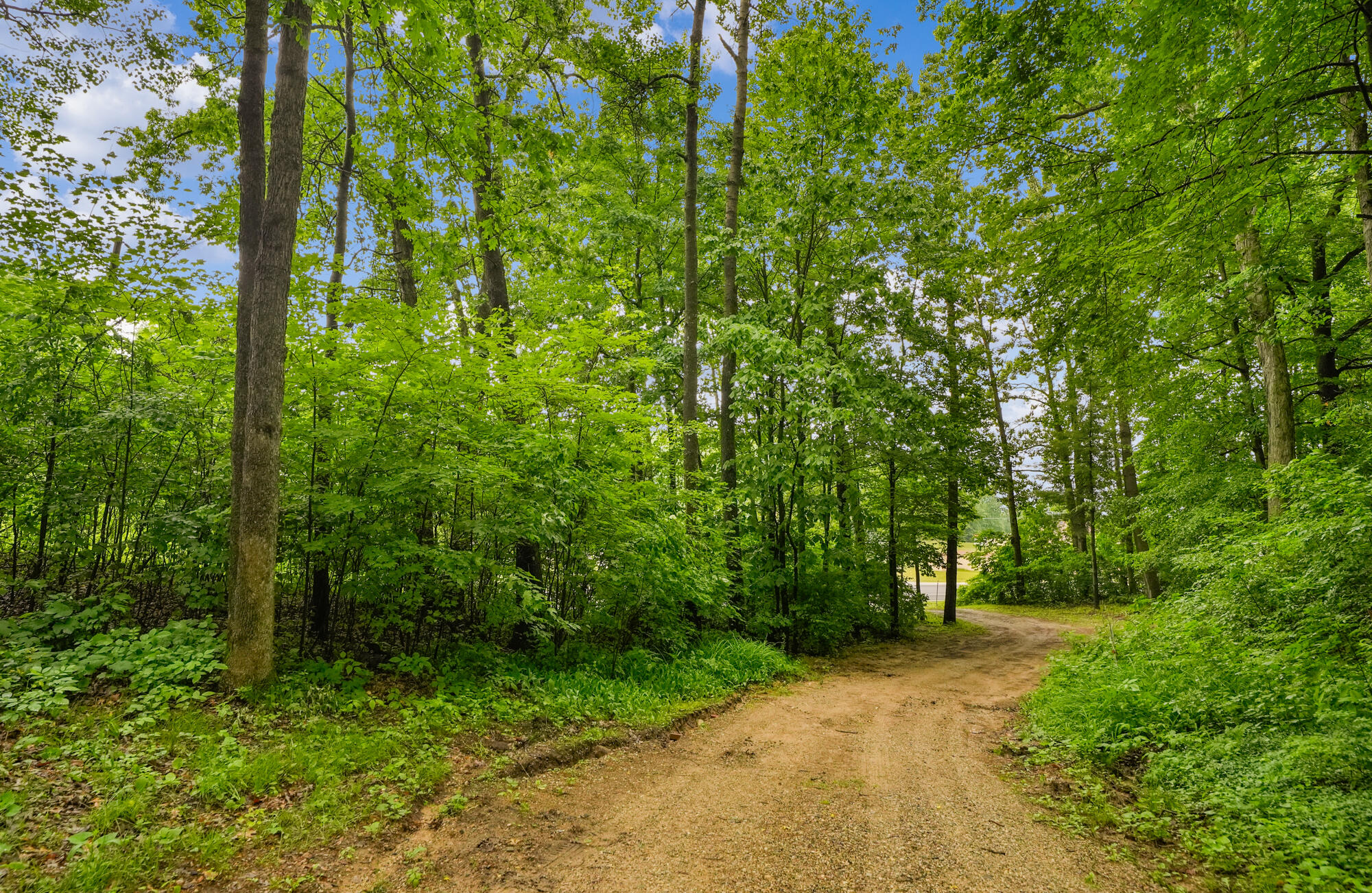 21537 Kendaville Road Pierson, MI 49339 - Photo 7 of 52 Driveway