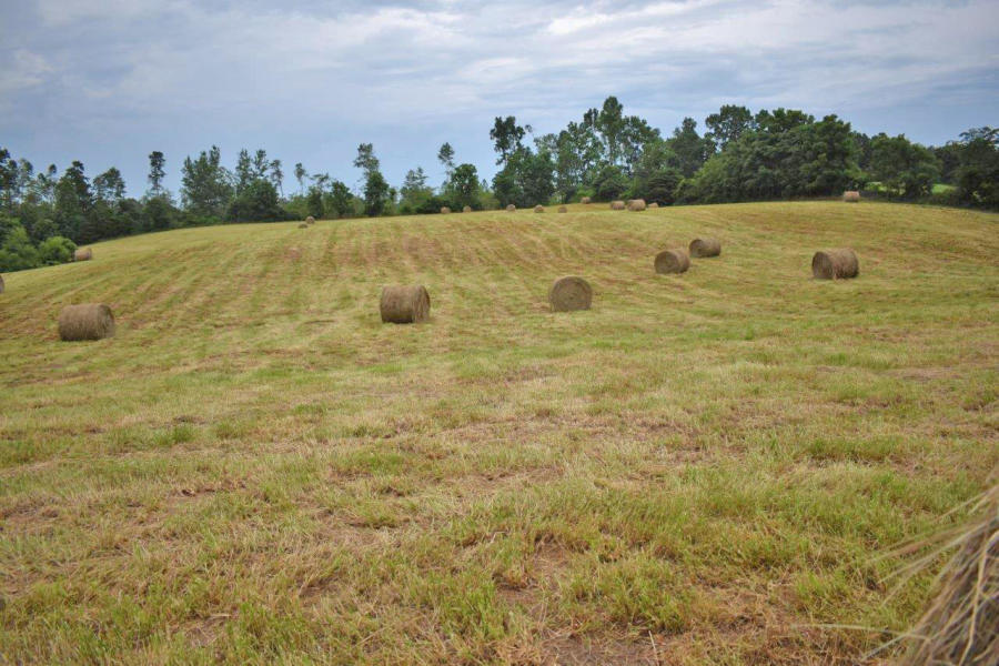 859 Rumbo Road Jamestown, KY 42629 - Photo 164 of 186 164