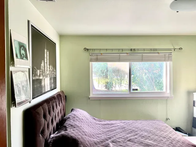 a view of a yard with potted plants