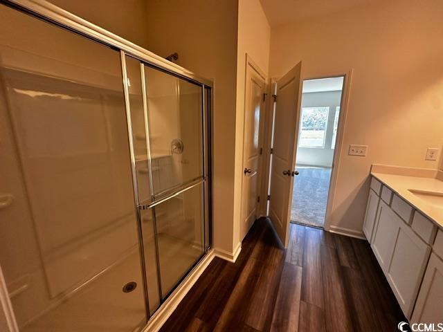 147 Linares Street Loris, SC 29569 - Photo 13 of 17 Bathroom with vanity, a shower with shower door, a
