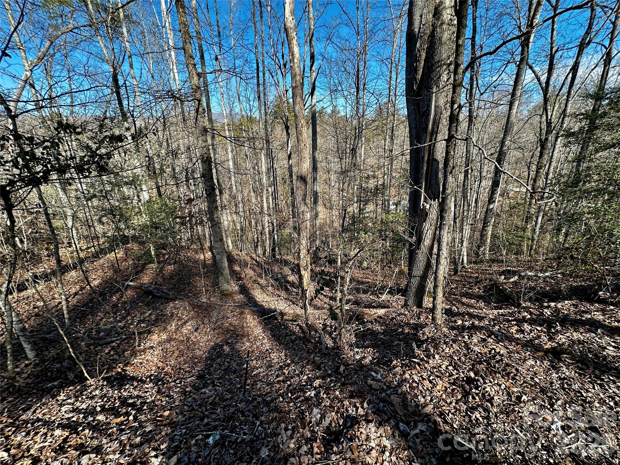 Lot 11 Blue Mist Mountain Road Whittier, NC 28789 - Photo 1 of 19 a view of a yard with lots of trees