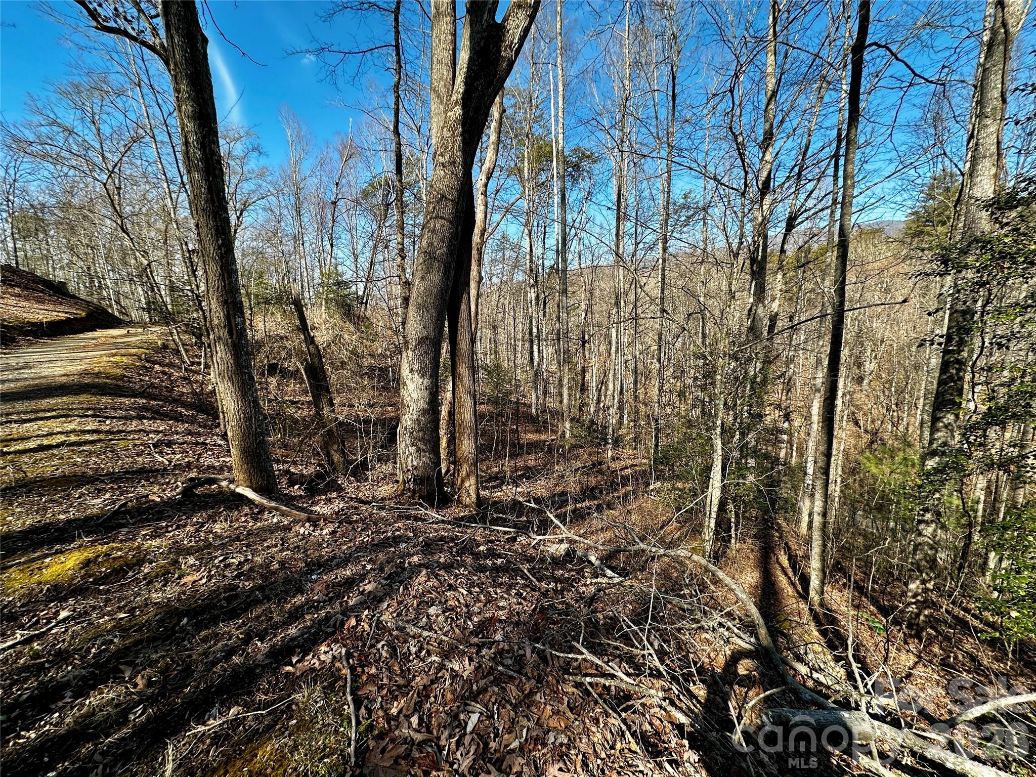 Lot 11 Blue Mist Mountain Road Whittier, NC 28789 - Photo 13 of 19 a view of a backyard of the house