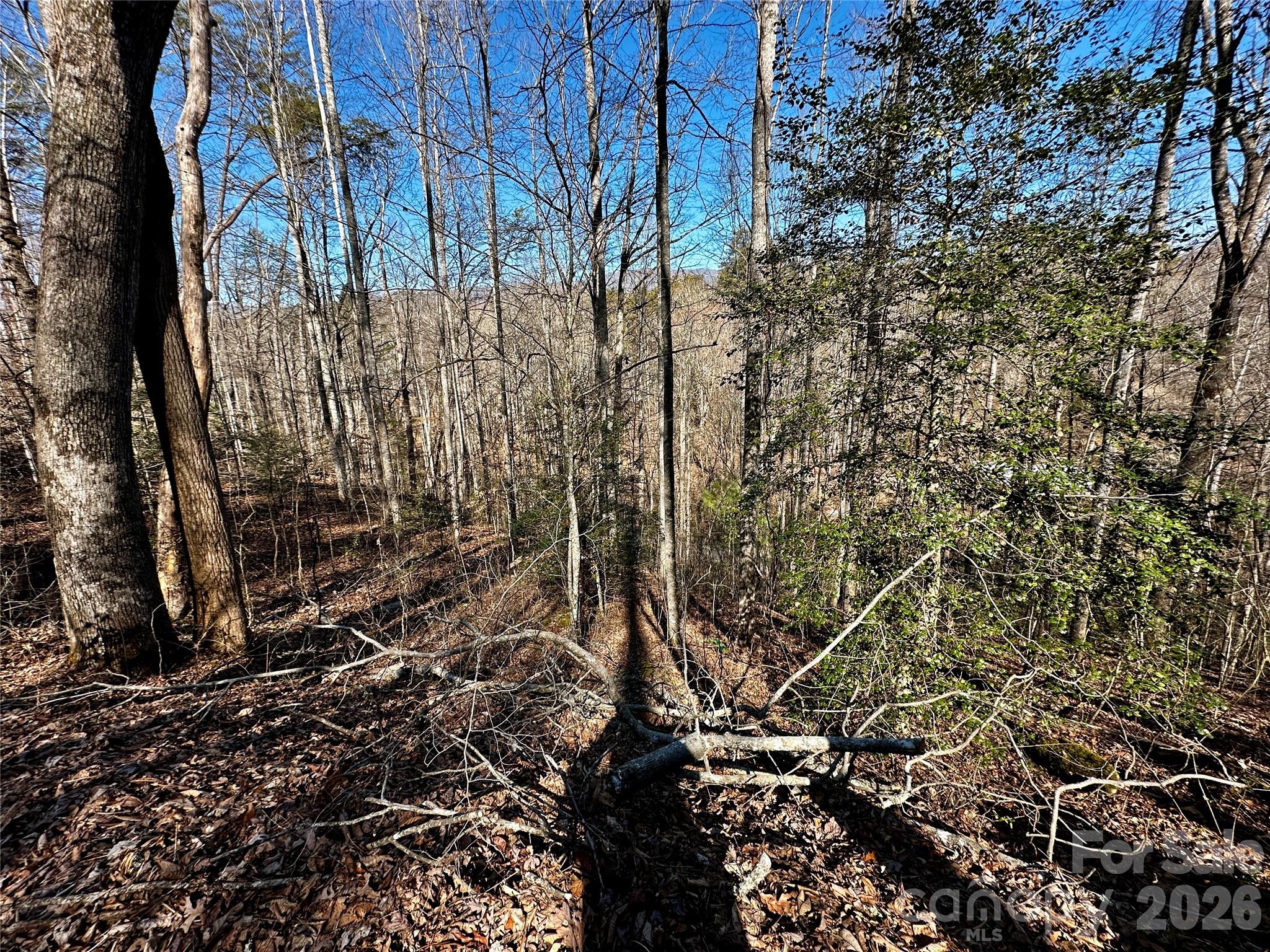 Lot 11 Blue Mist Mountain Road Whittier, NC 28789 - Photo 14 of 19 a view of yard