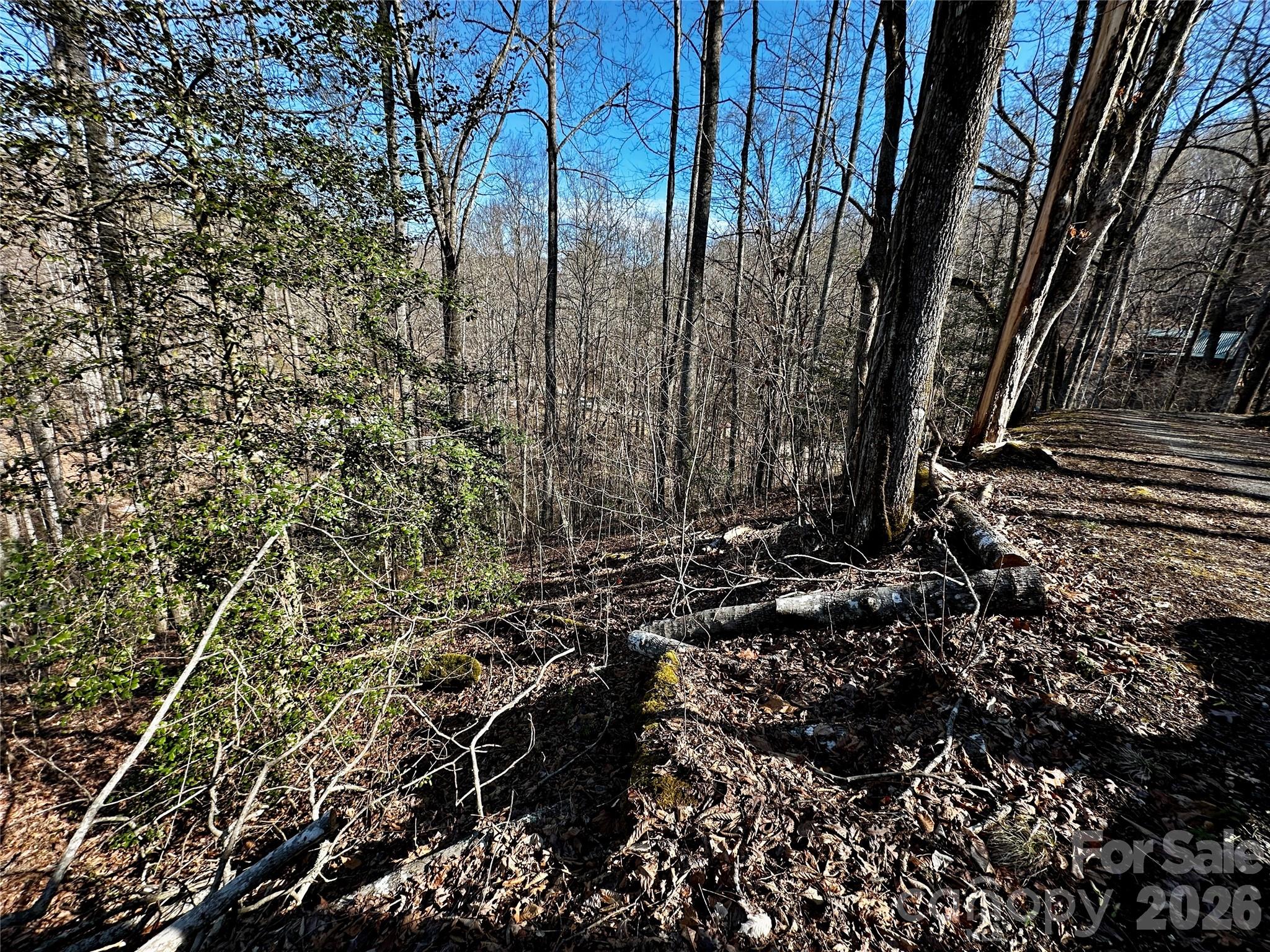 Lot 11 Blue Mist Mountain Road Whittier, NC 28789 - Photo 15 of 19 a view of a backyard