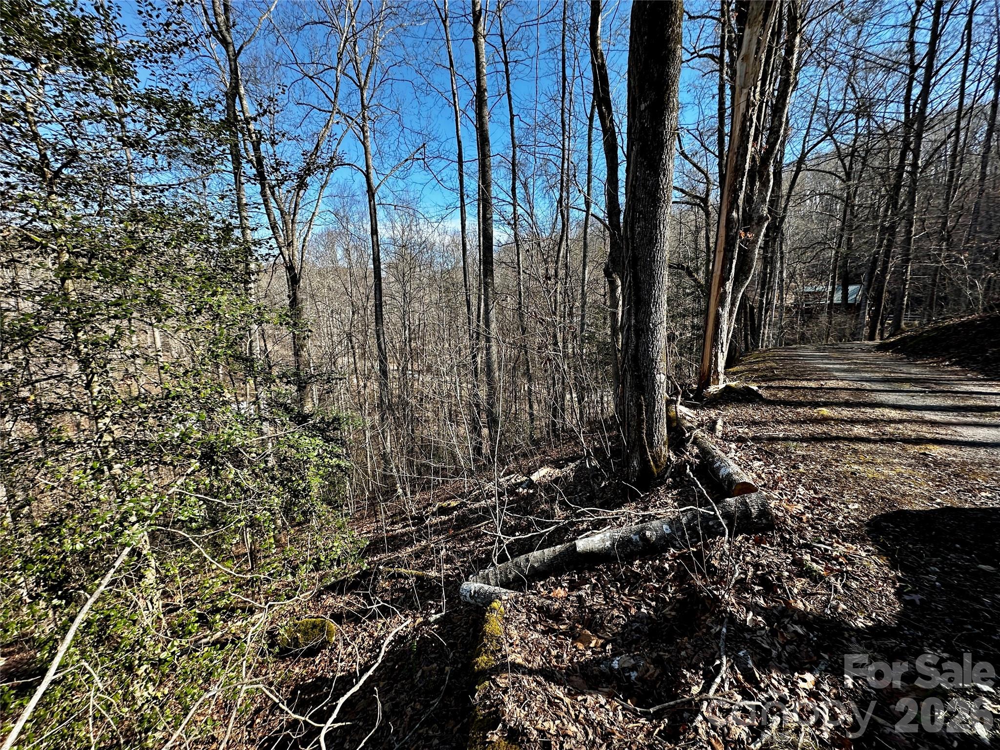 Lot 11 Blue Mist Mountain Road Whittier, NC 28789 - Photo 16 of 19 a view of a backyard of the house