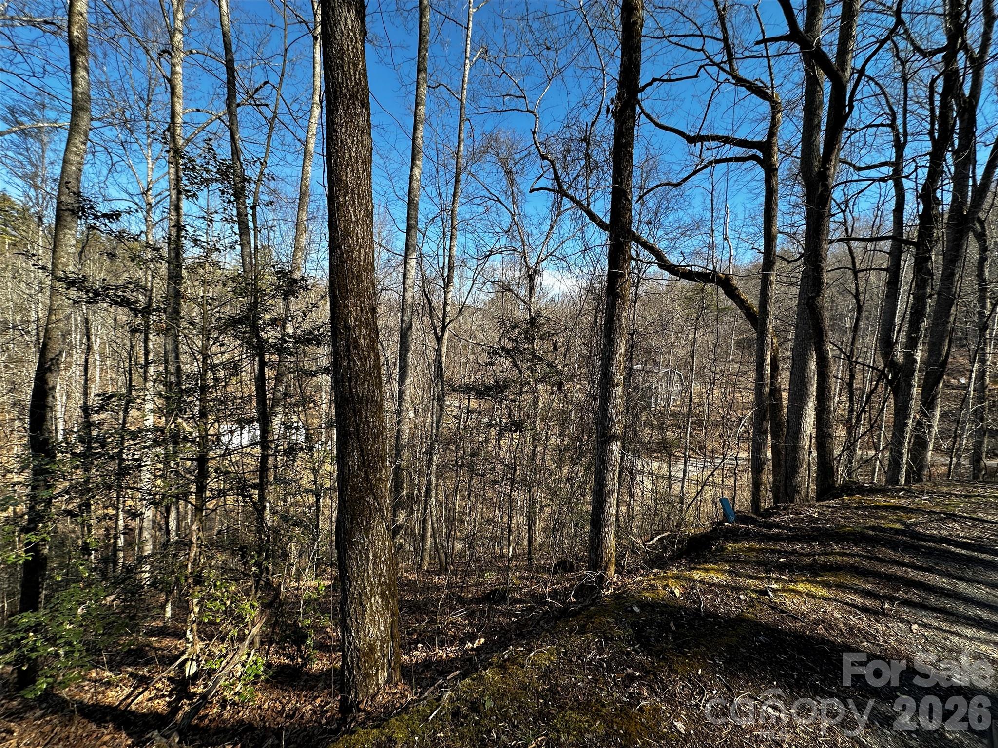 Lot 11 Blue Mist Mountain Road Whittier, NC 28789 - Photo 19 of 19 a backyard of a house with lots of green space