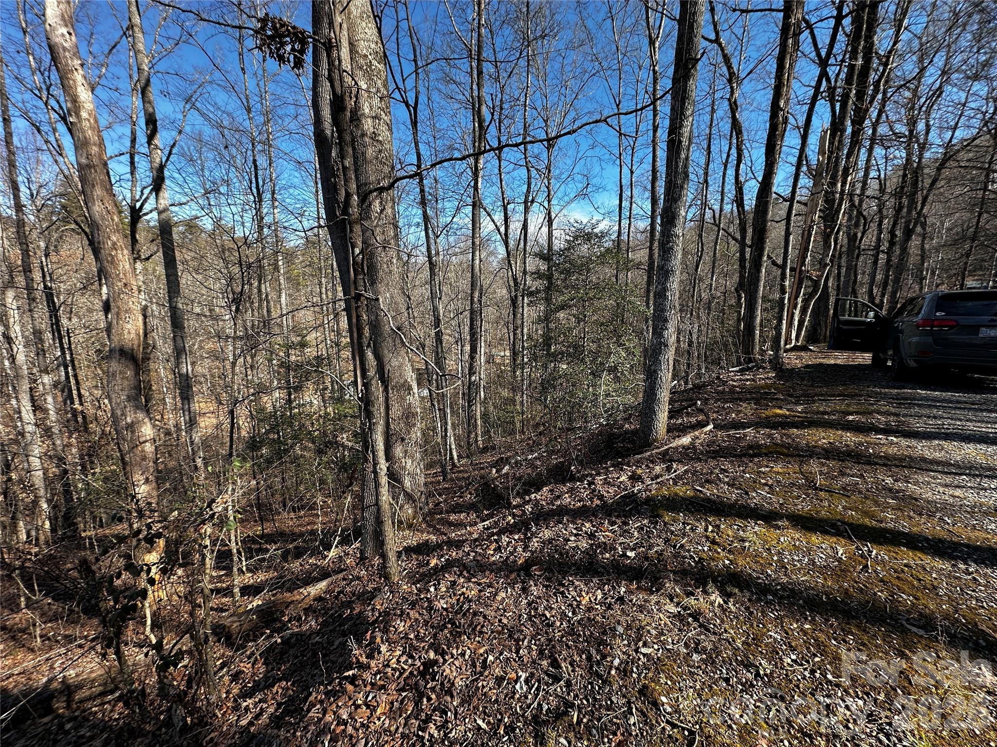 Lot 11 Blue Mist Mountain Road Whittier, NC 28789 - Photo 2 of 19 a view of a yard with plants and trees