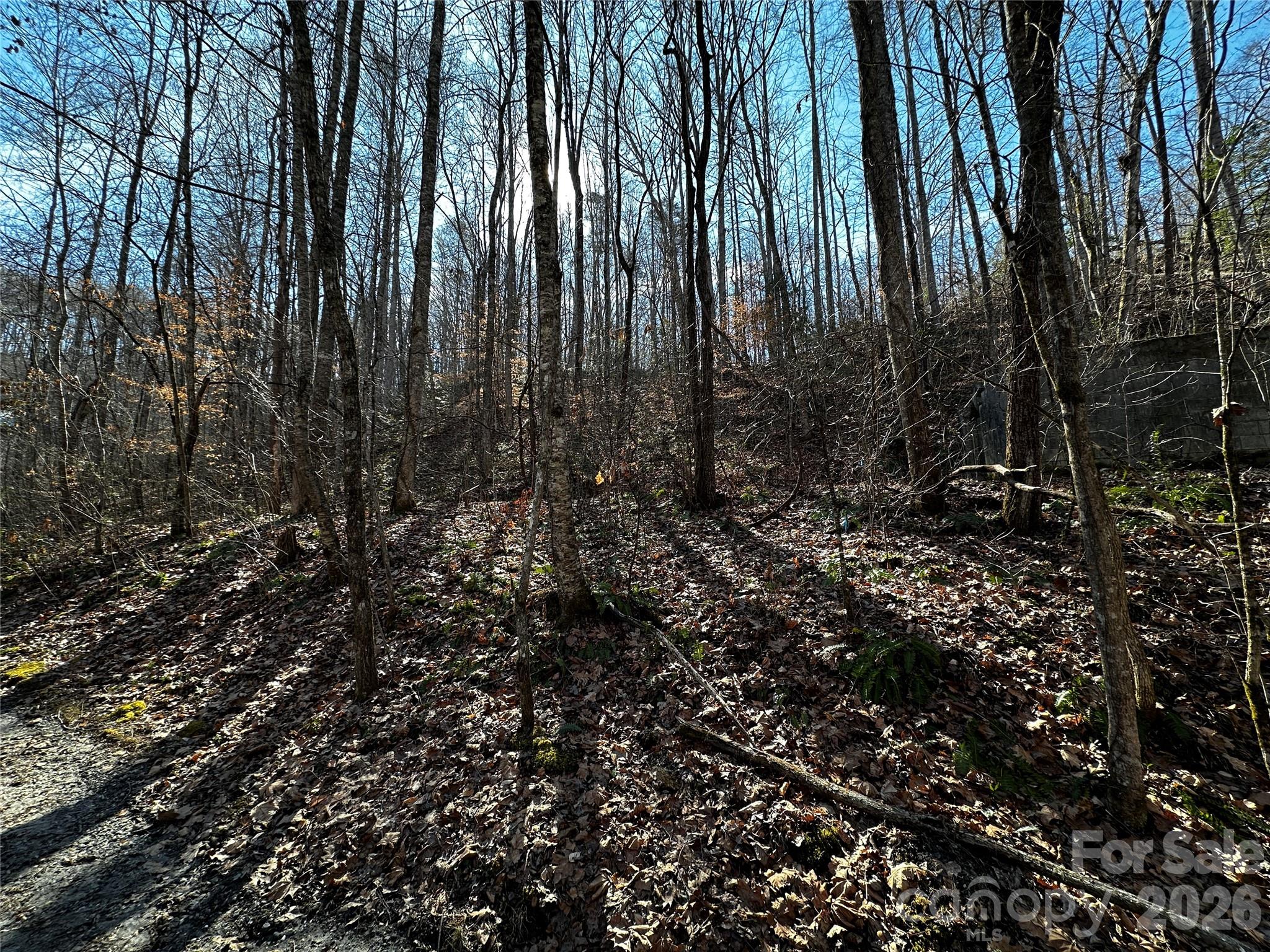 Lot 11 Blue Mist Mountain Road Whittier, NC 28789 - Photo 4 of 19 a view of lots of trees