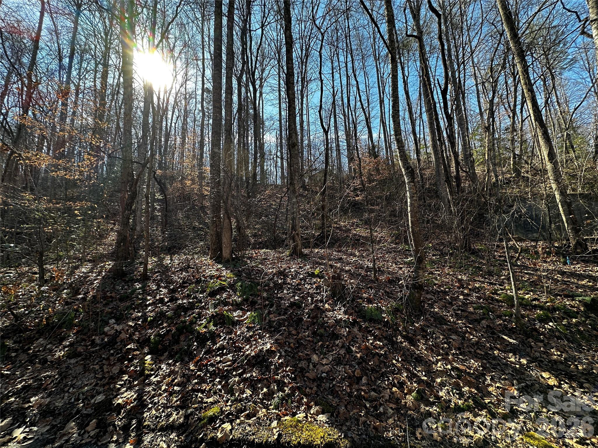 Lot 11 Blue Mist Mountain Road Whittier, NC 28789 - Photo 6 of 19 a view of lots of trees