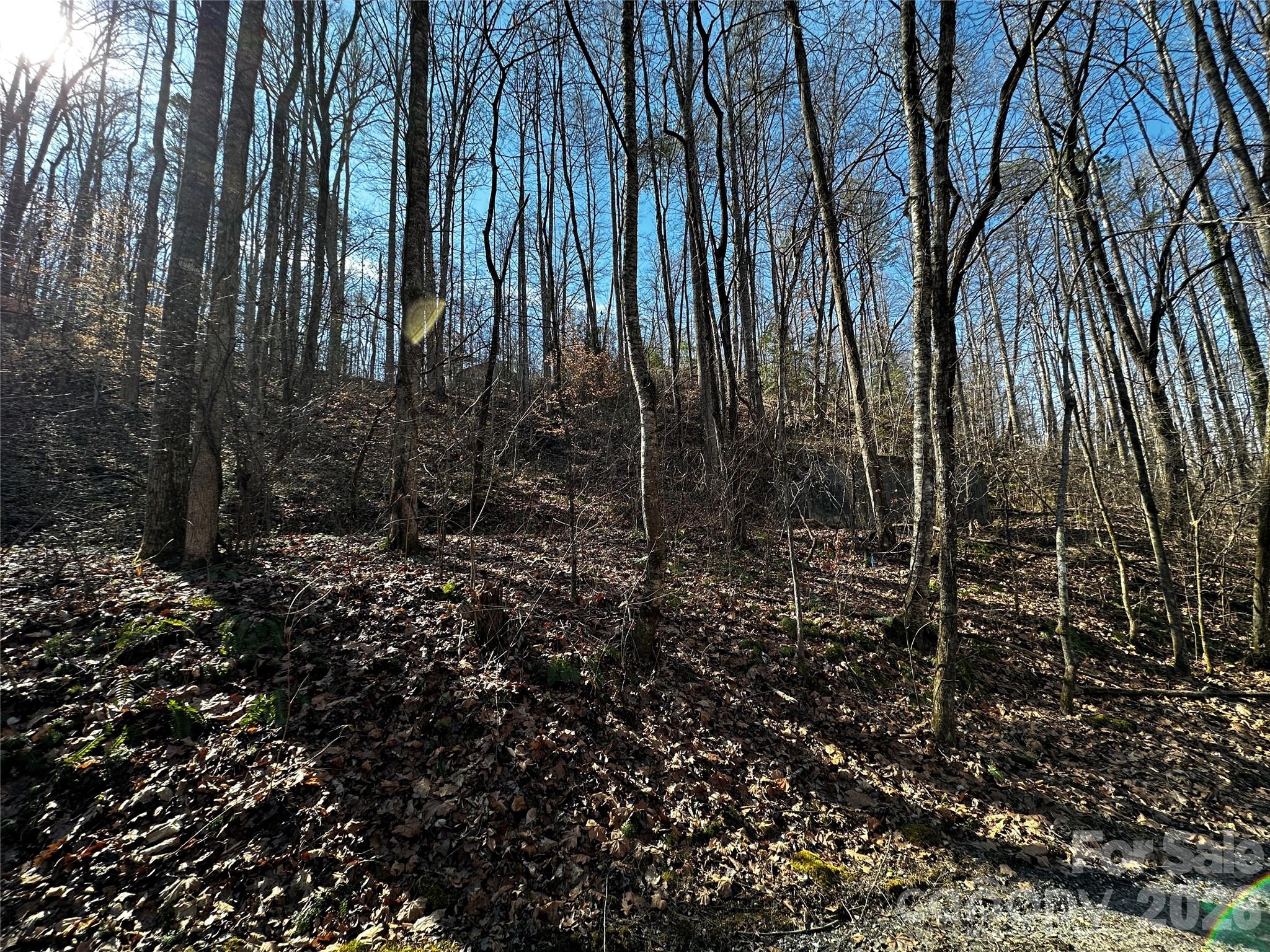 Lot 11 Blue Mist Mountain Road Whittier, NC 28789 - Photo 7 of 19 a view of a backyard