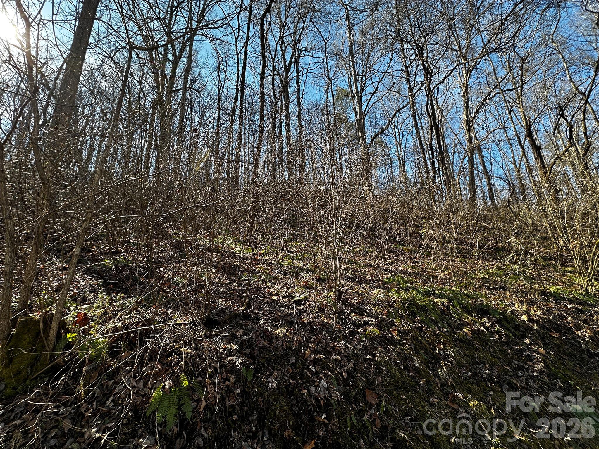 Lot 11 Blue Mist Mountain Road Whittier, NC 28789 - Photo 10 of 19 a view of a yard