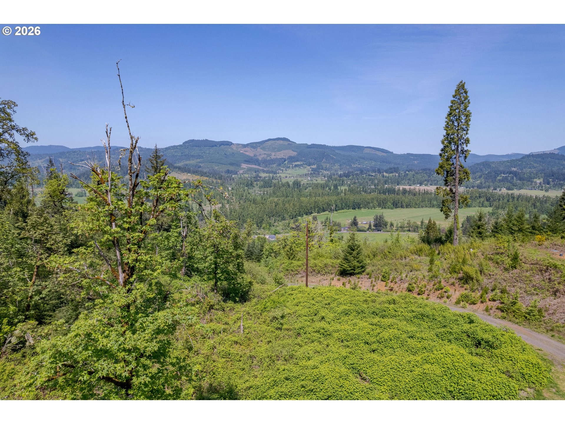 8563 McKenzie Highway Springfield, OR 97478 - Photo 14 of 35