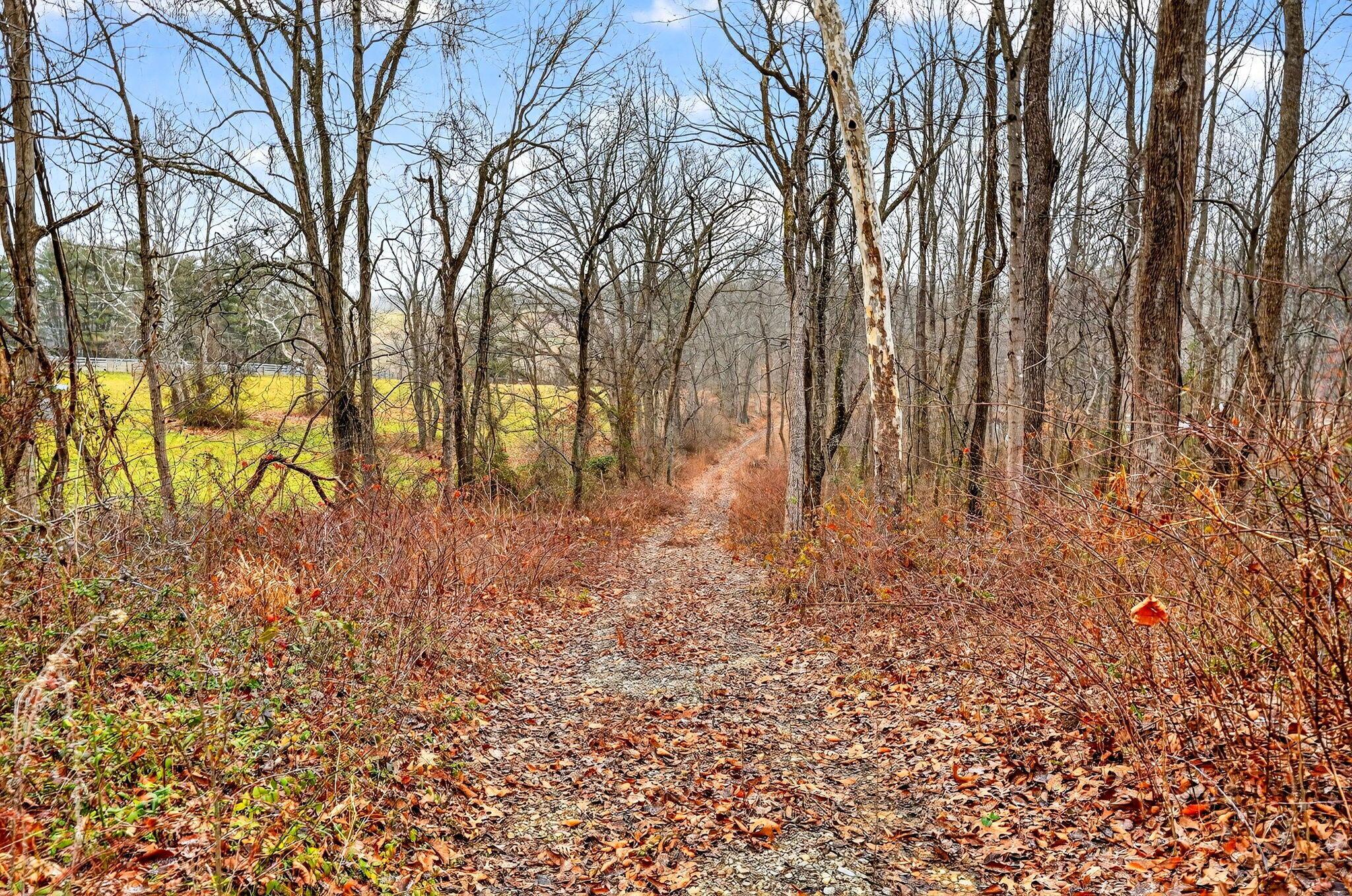 3133 4 Mile Road Jackson, OH 45640 - Photo 6 of 40 5. 3133 Four Mile Rd 38