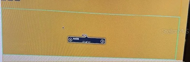 a view of a lake in middle of forest