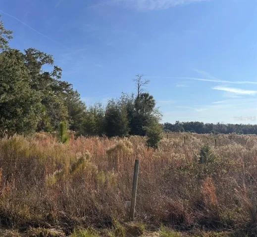 $30,000 | 1251 North Maylen Avenue, Lecanto, FL 34461