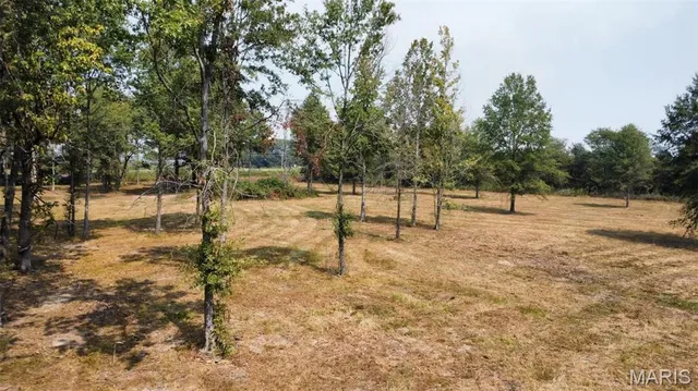 $37,500 | 0 Highway 51 Fisk Mo 63940, Fisk, MO 63940