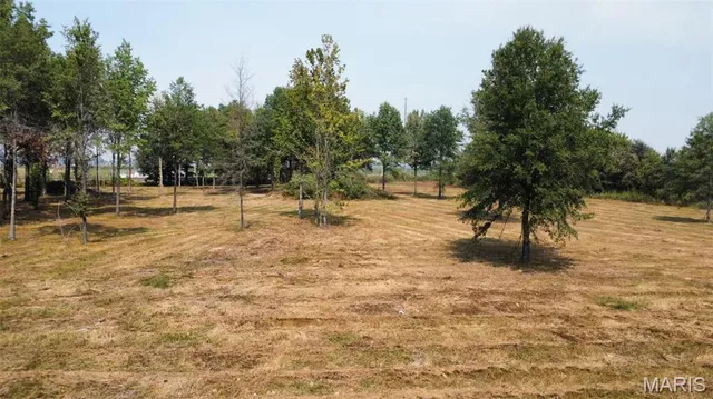 $37,500 | 0 Highway 51 Fisk Mo 63940, Fisk, MO 63940