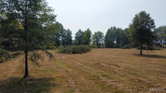 $37,500 | 0 Highway 51 Fisk Mo 63940, Fisk, MO 63940